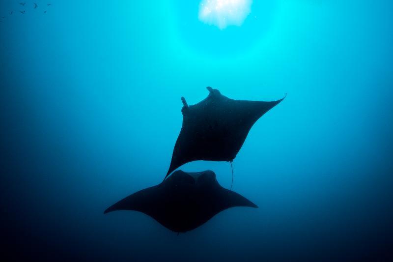 You And Me By Cocoon Maldives Muravandhoo Kültér fotó